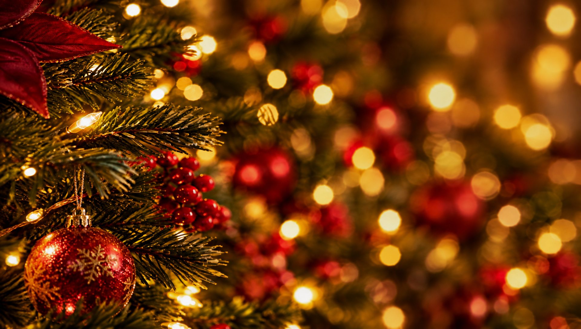 YAGCC Christmas Tree Lighting (3)